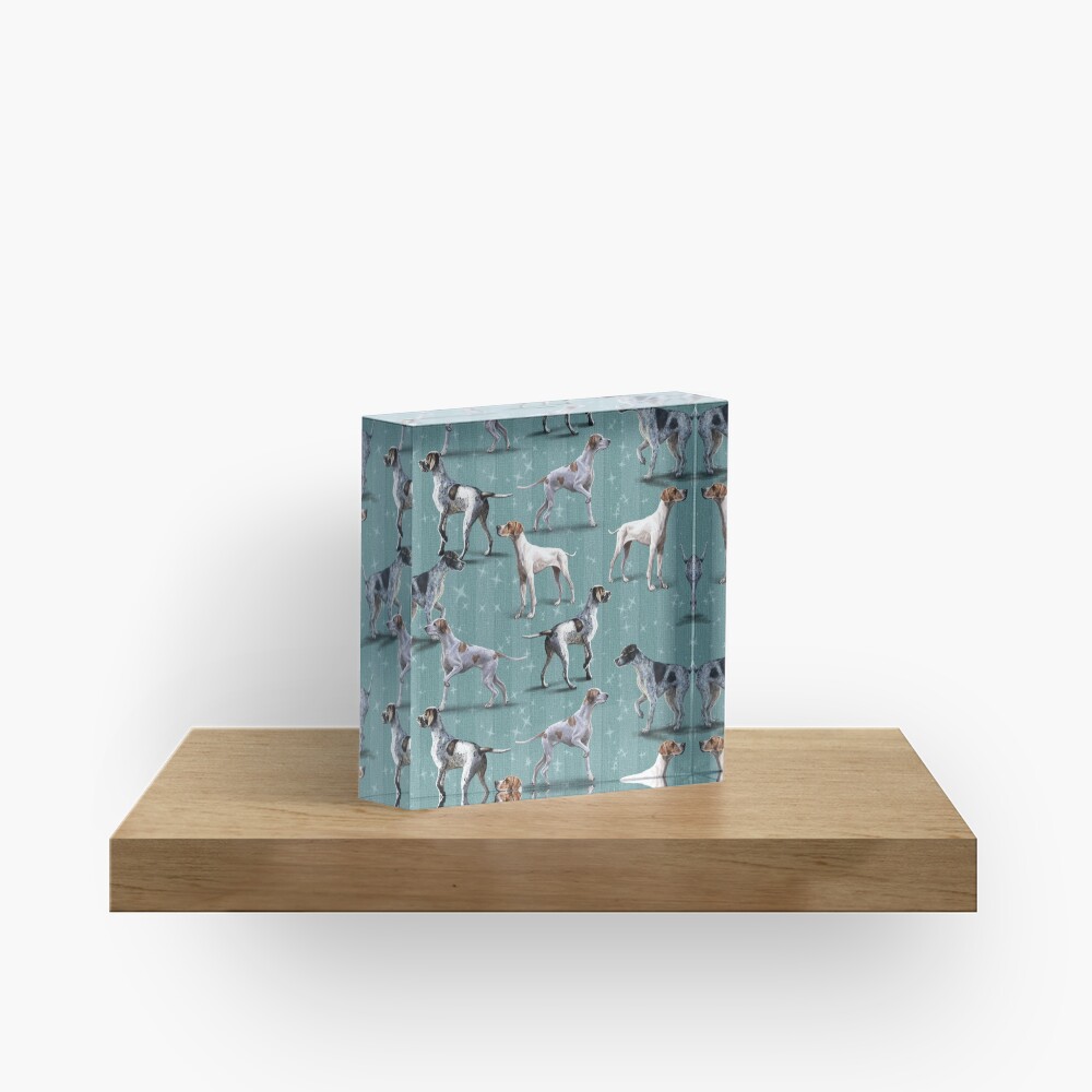 The Pointer Acrylic Block