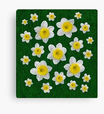 Spring Daffodils Canvas Print
