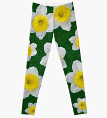 Spring Daffodils Leggings