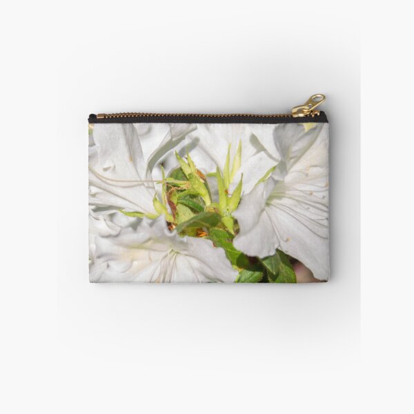 Item preview, white rhododendron flower with stamens and bright green leaves, macro photo designed and sold by nataliavavilina.