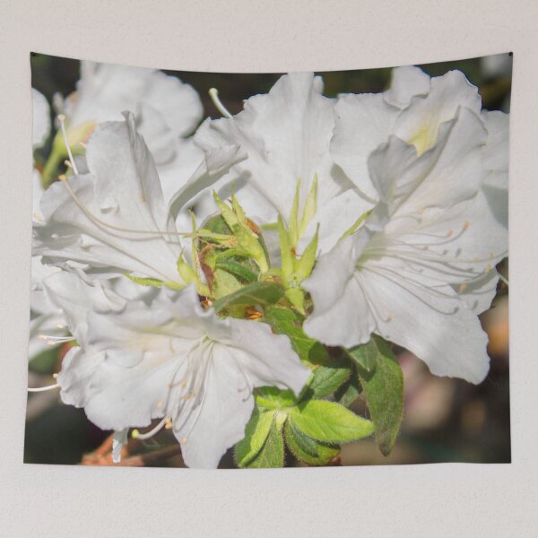 Item preview, white rhododendron flower with stamens and bright green leaves, macro photo designed and sold by nataliavavilina.