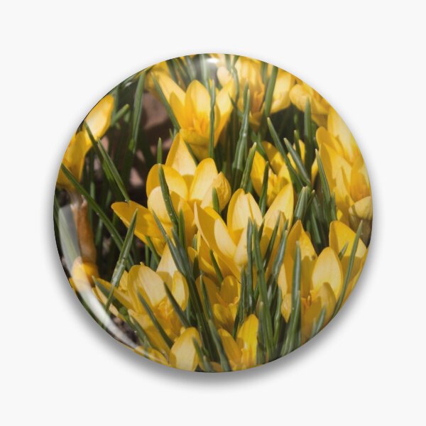 Item preview, pattern of yellow flowers crocuses and green leaves on a dark background designed and sold by nataliavavilina.