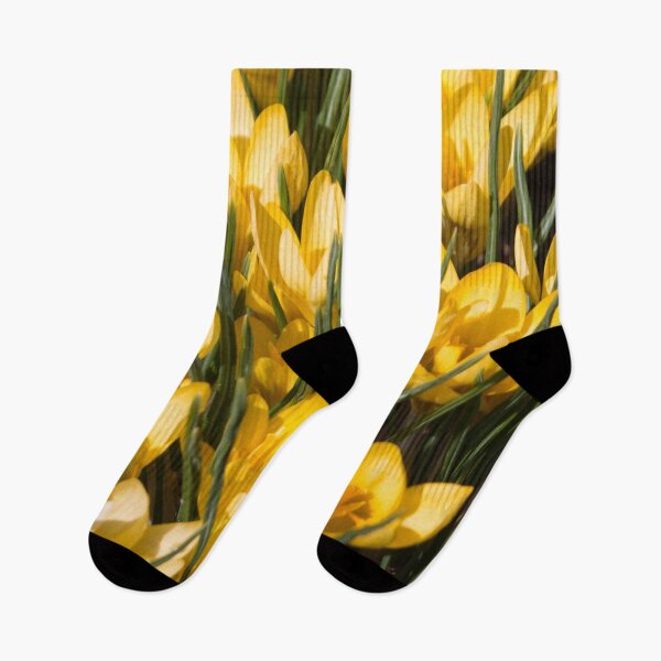 Item preview, pattern of yellow flowers crocuses and green leaves on a dark background designed and sold by nataliavavilina.