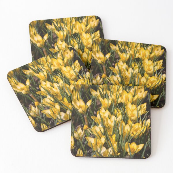 Item preview, pattern of yellow flowers crocuses and green leaves on a dark background designed and sold by nataliavavilina.