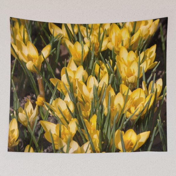Item preview, pattern of yellow flowers crocuses and green leaves on a dark background designed and sold by nataliavavilina.