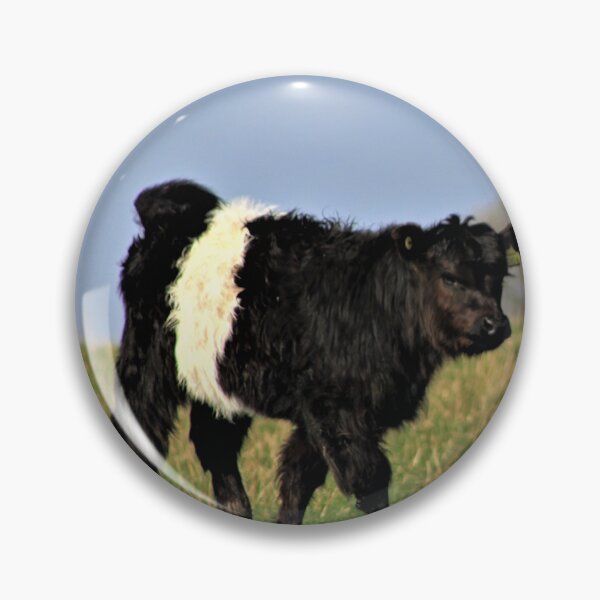 Item preview, Belted Galloway Calf designed and sold by beavo.
