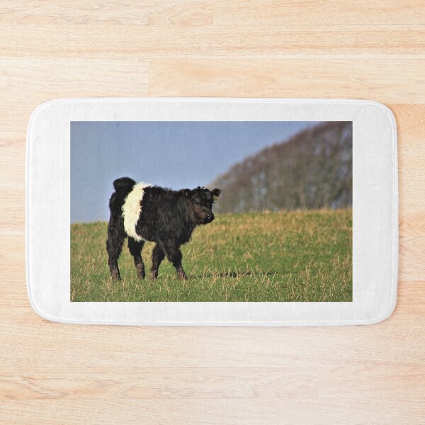 Item preview, Belted Galloway Calf designed and sold by beavo.
