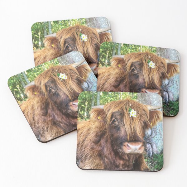 Item preview, Scottish Highland Cattle Calf 2097 designed and sold by SaarelaHighland.