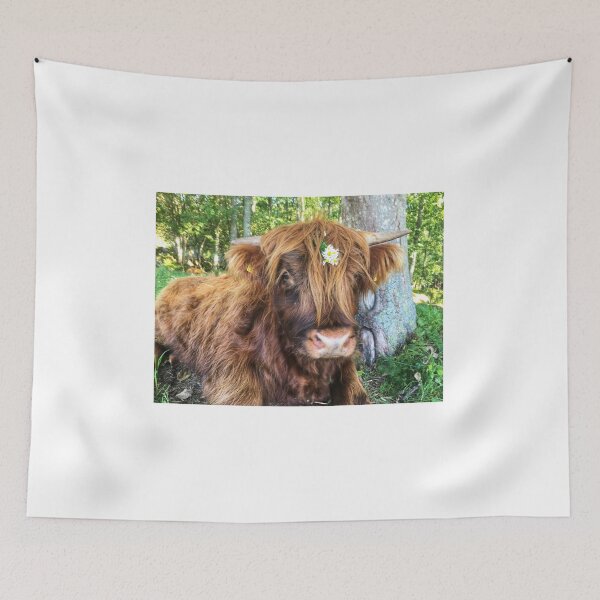Item preview, Scottish Highland Cattle Calf 2097 designed and sold by SaarelaHighland.