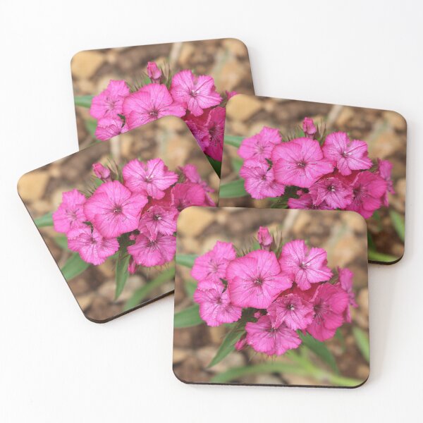 Item preview, Hot Pink Turkish Carnation Flowers designed and sold by SweepingShadows.