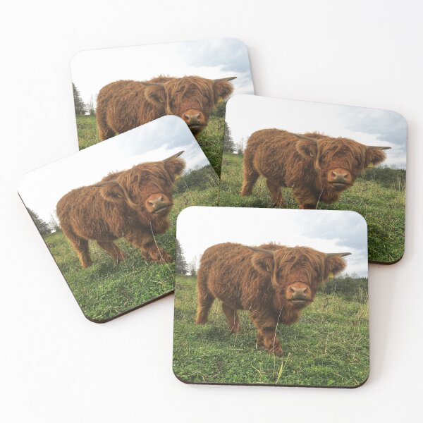 Item preview, Scottish Highland Cattle Calf 2101 designed and sold by SaarelaHighland.