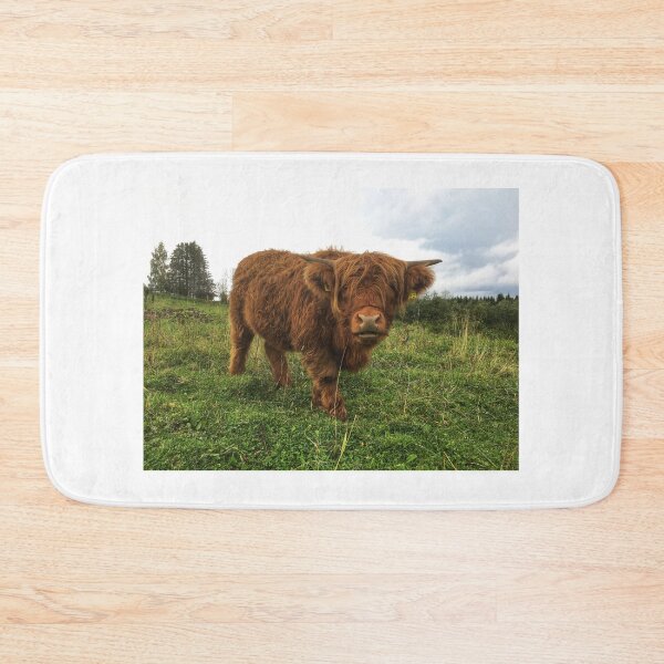 Item preview, Scottish Highland Cattle Calf 2101 designed and sold by SaarelaHighland.