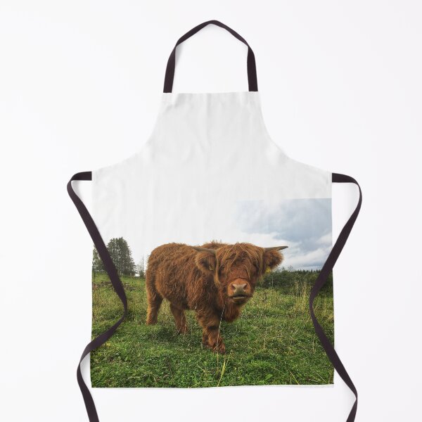 Item preview, Scottish Highland Cattle Calf 2101 designed and sold by SaarelaHighland.