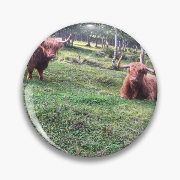 Item preview, Scottish Highland Cattle Cows 2103 designed and sold by SaarelaHighland.
