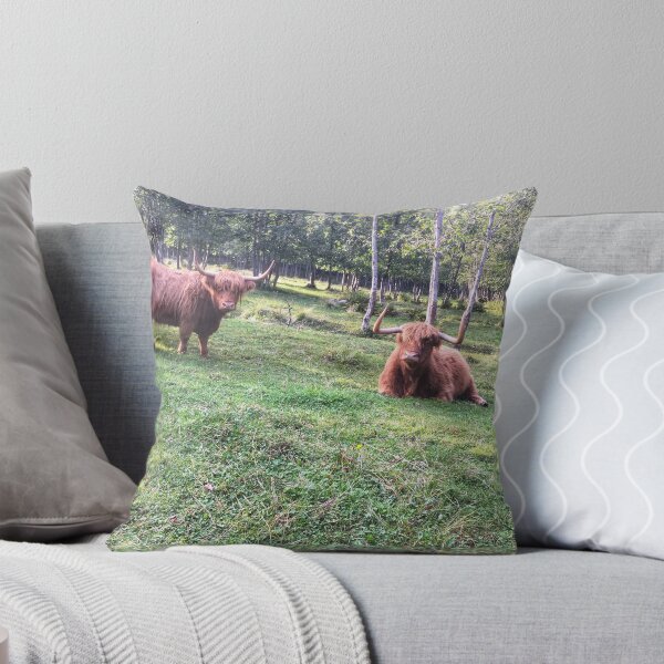Item preview, Scottish Highland Cattle Cows 2103 designed and sold by SaarelaHighland.