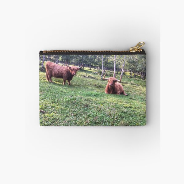 Item preview, Scottish Highland Cattle Cows 2103 designed and sold by SaarelaHighland.
