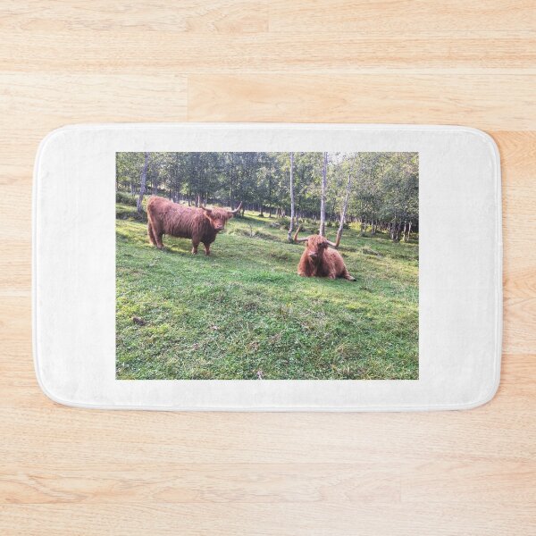 Item preview, Scottish Highland Cattle Cows 2103 designed and sold by SaarelaHighland.