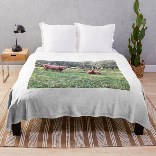 Item preview, Scottish Highland Cattle Cows 2103 designed and sold by SaarelaHighland.