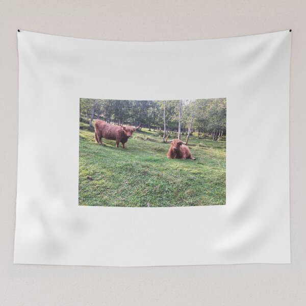 Item preview, Scottish Highland Cattle Cows 2103 designed and sold by SaarelaHighland.
