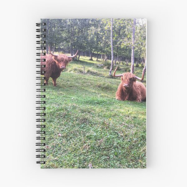 Item preview, Scottish Highland Cattle Cows 2103 designed and sold by SaarelaHighland.