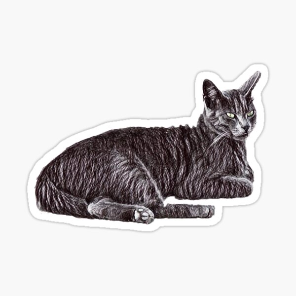 Chillin cat Sticker