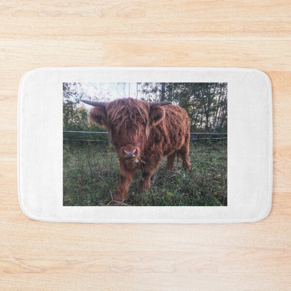 Item preview, Scottish Highland Cattle Calf 2104 designed and sold by SaarelaHighland.