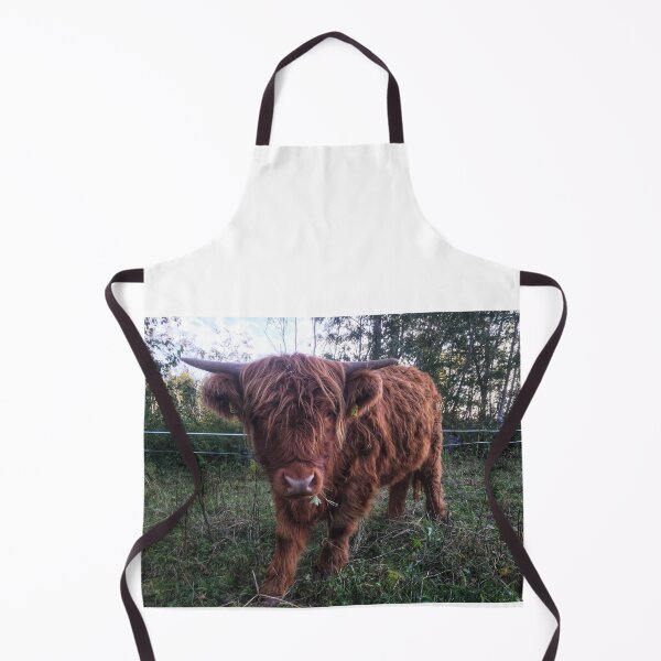 Item preview, Scottish Highland Cattle Calf 2104 designed and sold by SaarelaHighland.