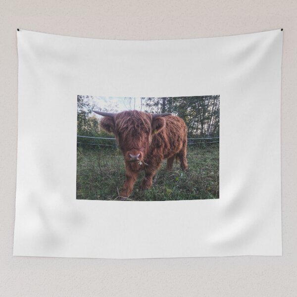 Item preview, Scottish Highland Cattle Calf 2104 designed and sold by SaarelaHighland.