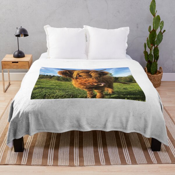 Item preview, Scottish Highland Cattle Calf 2105 designed and sold by SaarelaHighland.