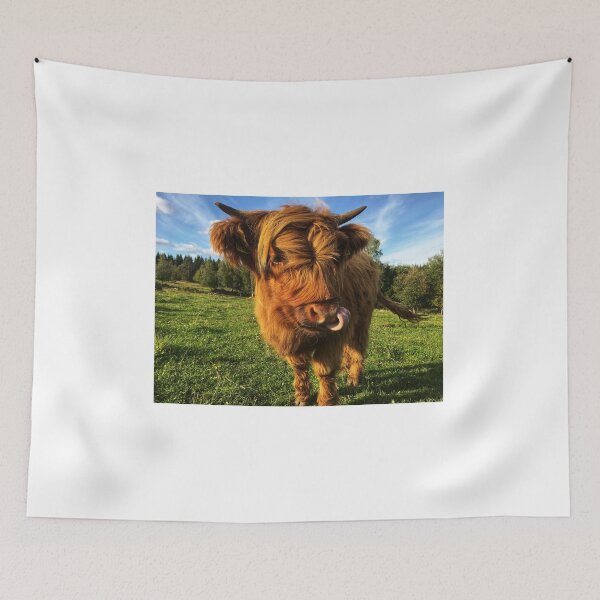 Item preview, Scottish Highland Cattle Calf 2105 designed and sold by SaarelaHighland.