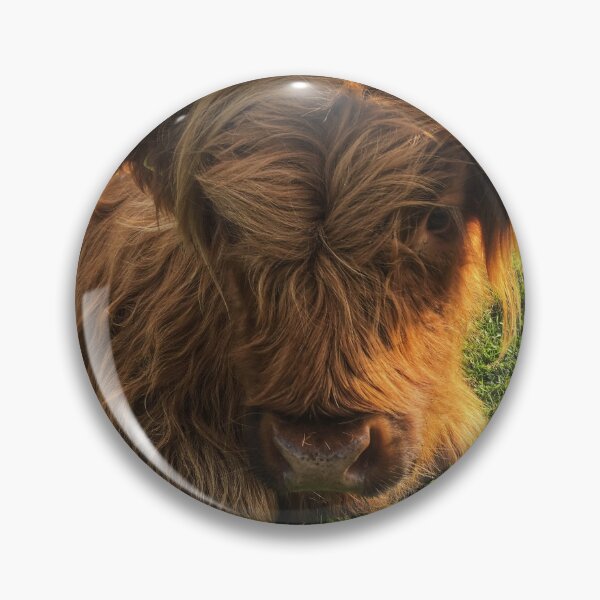 Item preview, Scottish Highland Cattle Calf 2106 designed and sold by SaarelaHighland.