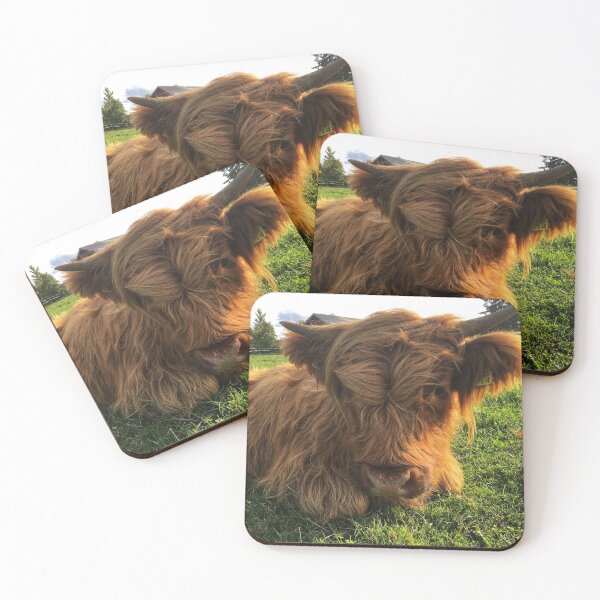 Item preview, Scottish Highland Cattle Calf 2106 designed and sold by SaarelaHighland.