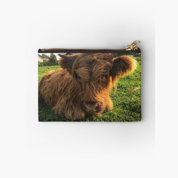 Item preview, Scottish Highland Cattle Calf 2106 designed and sold by SaarelaHighland.