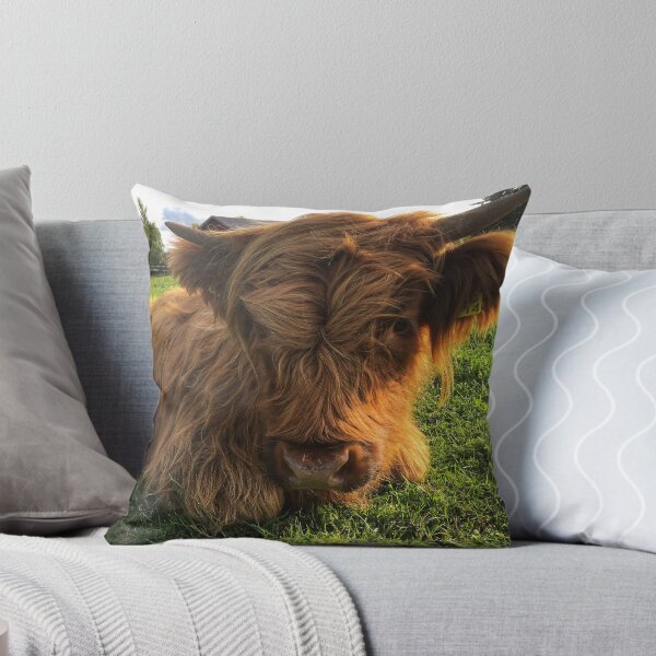 Item preview, Scottish Highland Cattle Calf 2106 designed and sold by SaarelaHighland.