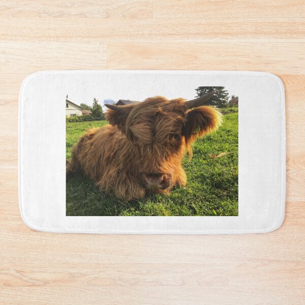 Item preview, Scottish Highland Cattle Calf 2106 designed and sold by SaarelaHighland.