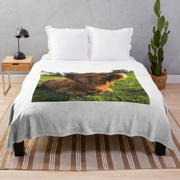 Item preview, Scottish Highland Cattle Calf 2106 designed and sold by SaarelaHighland.