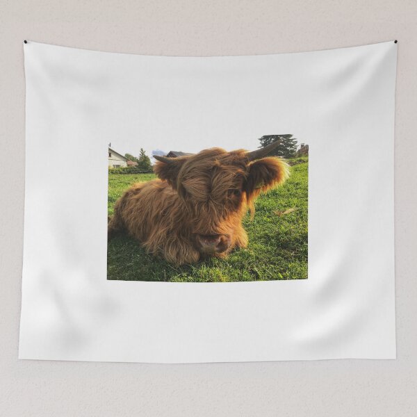 Item preview, Scottish Highland Cattle Calf 2106 designed and sold by SaarelaHighland.