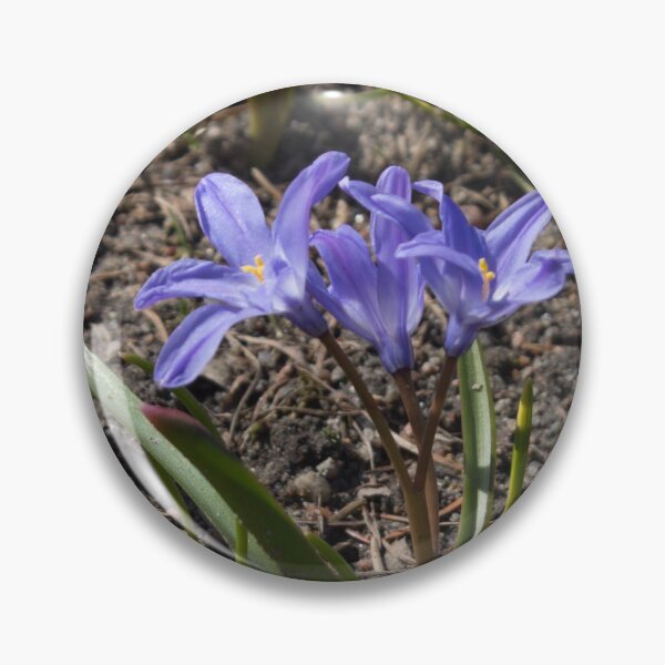 Item preview, purple spring flowers with yellow centers on the ground background designed and sold by nataliavavilina.