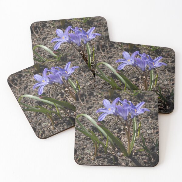 Item preview, purple spring flowers with yellow centers on the ground background designed and sold by nataliavavilina.