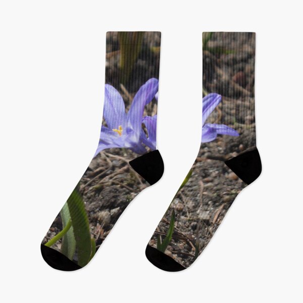Item preview, purple spring flowers with yellow centers on the ground background designed and sold by nataliavavilina.