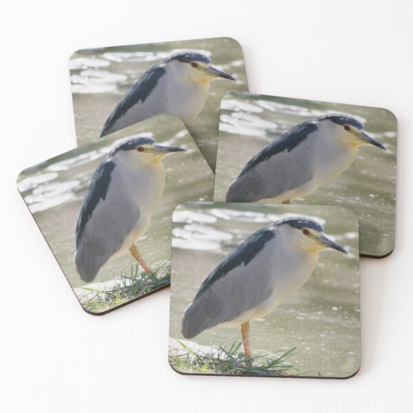 Item preview, Black-crowned Night Heron designed and sold by SweepingShadows.