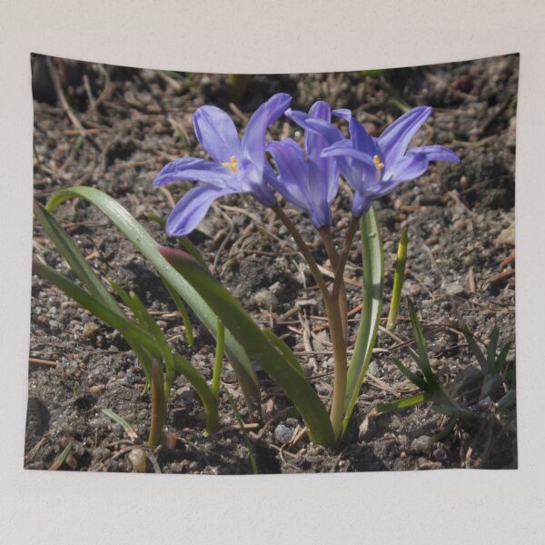 Item preview, purple spring flowers with yellow centers on the ground background designed and sold by nataliavavilina.