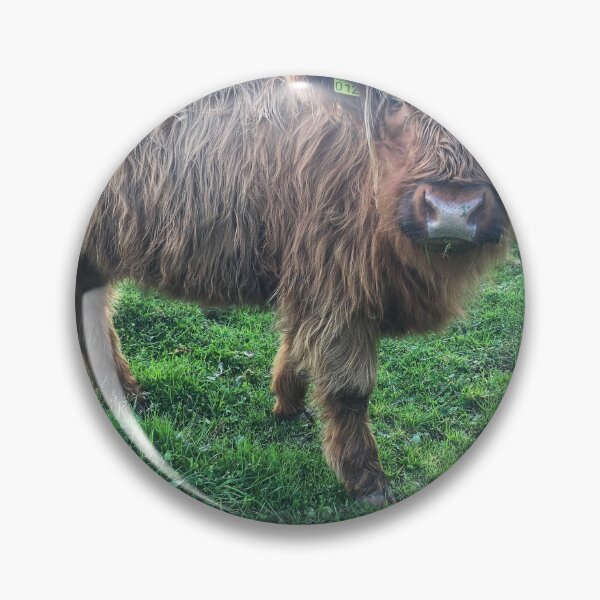 Item preview, Scottish Highland Cattle Calf 2107 designed and sold by SaarelaHighland.