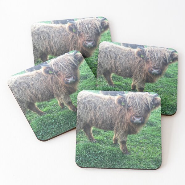 Item preview, Scottish Highland Cattle Calf 2107 designed and sold by SaarelaHighland.