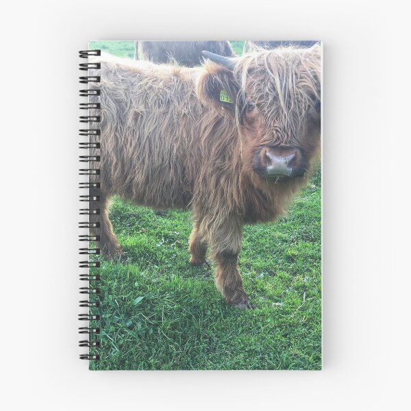 Item preview, Scottish Highland Cattle Calf 2107 designed and sold by SaarelaHighland.