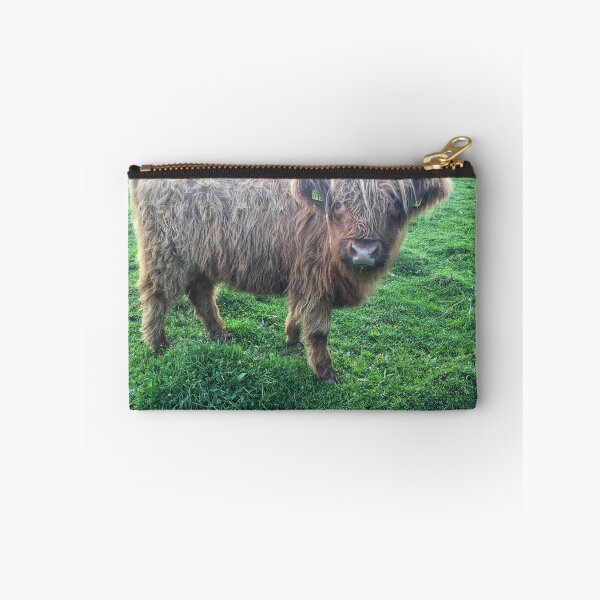 Item preview, Scottish Highland Cattle Calf 2107 designed and sold by SaarelaHighland.
