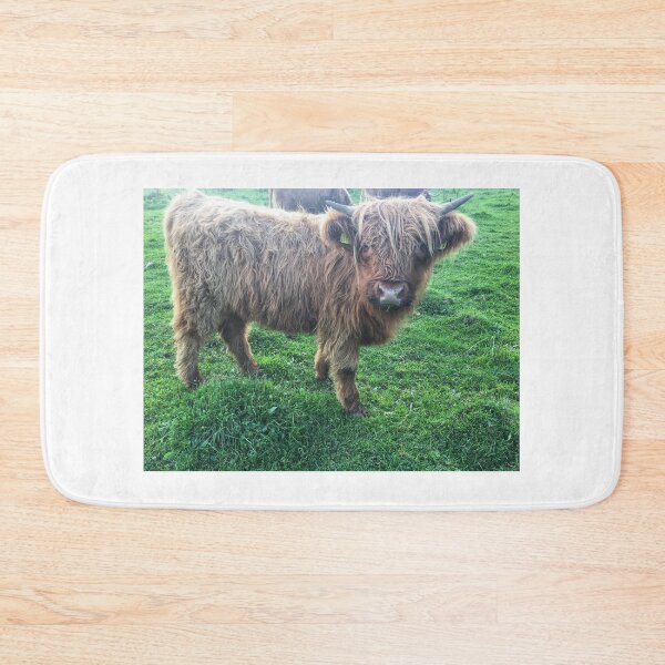 Item preview, Scottish Highland Cattle Calf 2107 designed and sold by SaarelaHighland.