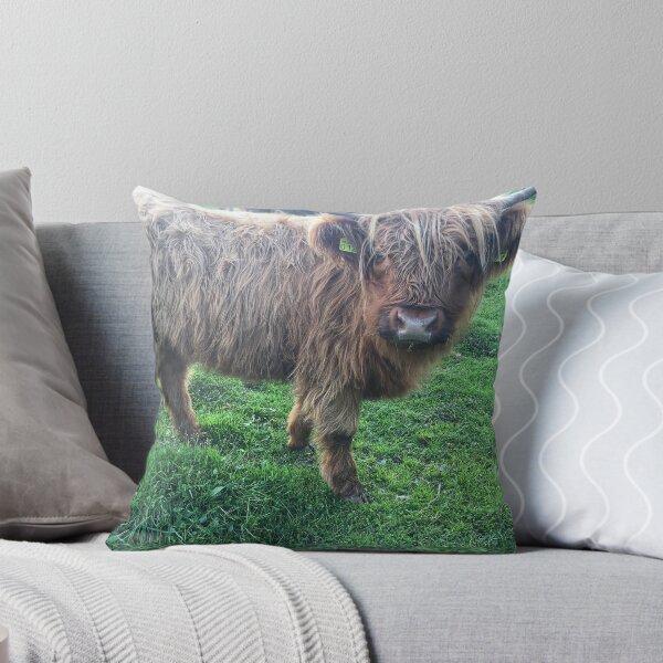 Item preview, Scottish Highland Cattle Calf 2107 designed and sold by SaarelaHighland.
