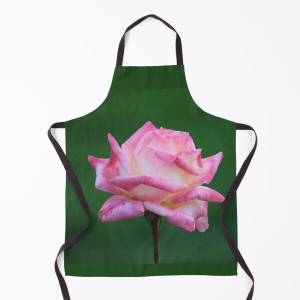 Item preview, Single Pink Rose designed and sold by BarbaraWilliams.