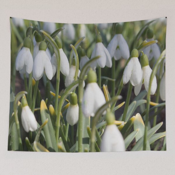 Item preview, pattern of white flowers of snowdrops with green foliage, photo designed and sold by nataliavavilina.